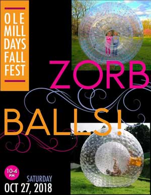 16 Zorb balls