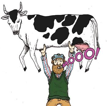 04UCW ReflectionsOnTheHornedCow Illustration