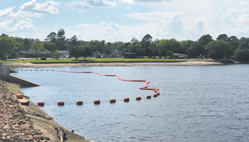 10 Views of Lake Bulkhead 1