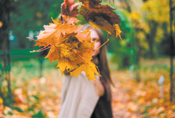 15 Collecting leaves