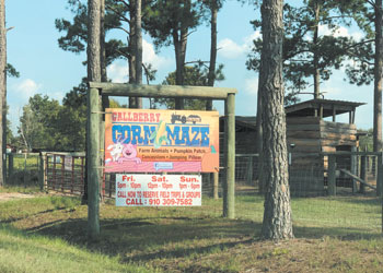 15 02 Corn Maze sign