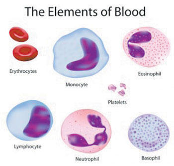 05 03 Blood Elements graphic