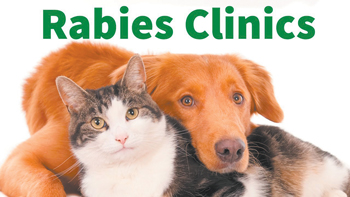 04 03 Rabies clincs