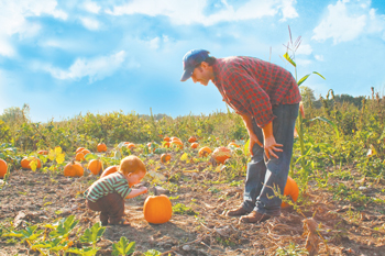 17 dad and son in pumpkin patch