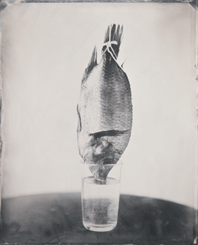 01 01 Adams Breath wet collodion tintype2000