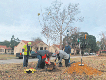 16 bragg arbor day