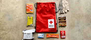 10 Red Cross Emergency Kit