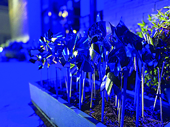 CAC'S Fall Gala turns awareness into action