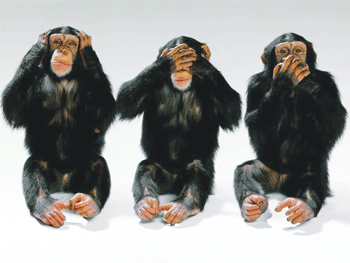 03-02-11-the-three-monkeys.gif