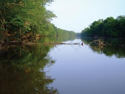 08-24-11-cape-fear-river.jpg