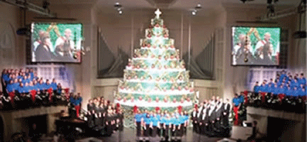 00-21-12-singing-tree.gif