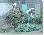 01-07-15-grinding-greens.gif