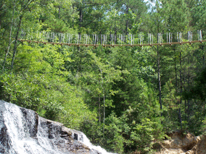 08-18-10-zip-falls.gif