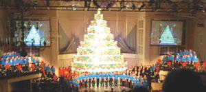 11_25_09christmastree4.jpg