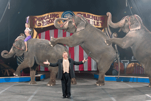 02-02-11-circus.gif