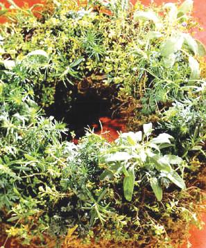 08-31-11-herbal-wreaths.jpg