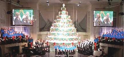 11-23-11-singing-tree.jpg